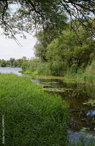 Fototapeta Naklejka Na Ścianę i Meble -  Havel river at summer time (Brandenburg, Germany).