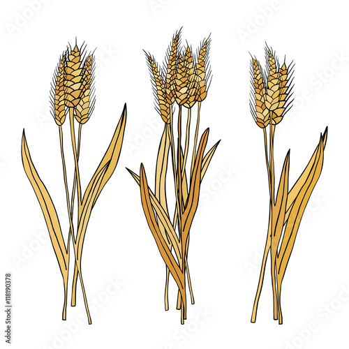 vector set of cartoon doodle wheat sheaves