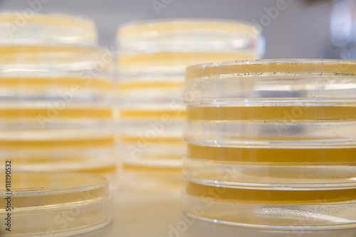 Fényképezés Stacks of sterile agar plates, also known as petri dishes, ready to be used for bacterial culture