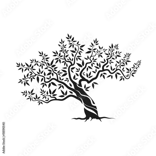 olive tree silhouette icon isolated