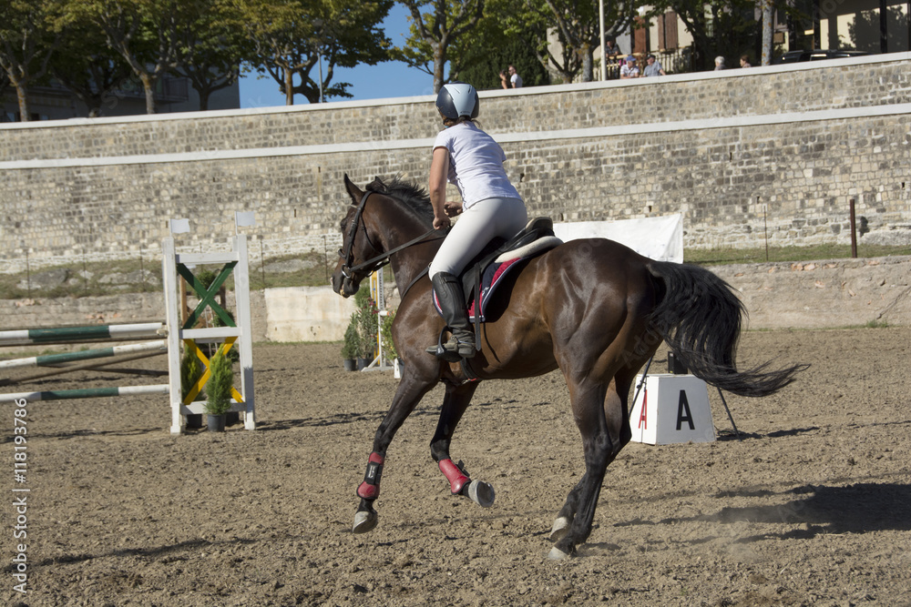 Equitazione, salto con ostacoli Equitazione, salto con ostacoli