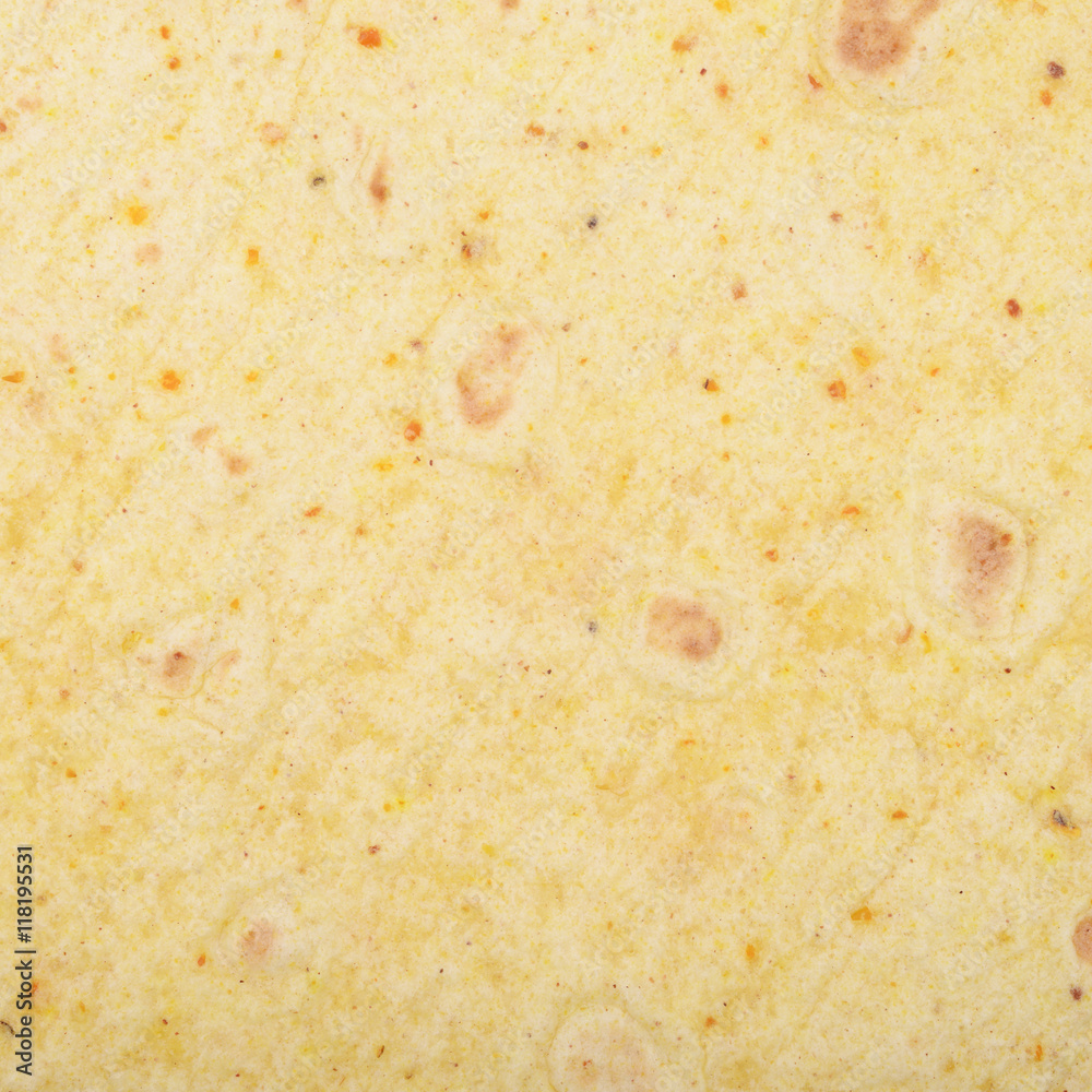 Texture fragment of a tortilla