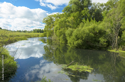 Sunny summer scene