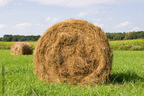 Stroh Heu Weizen Ernte Landschaft 