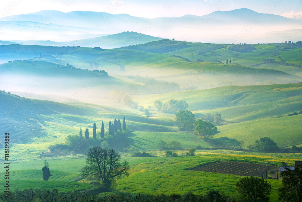 The green field Tuscany Italy