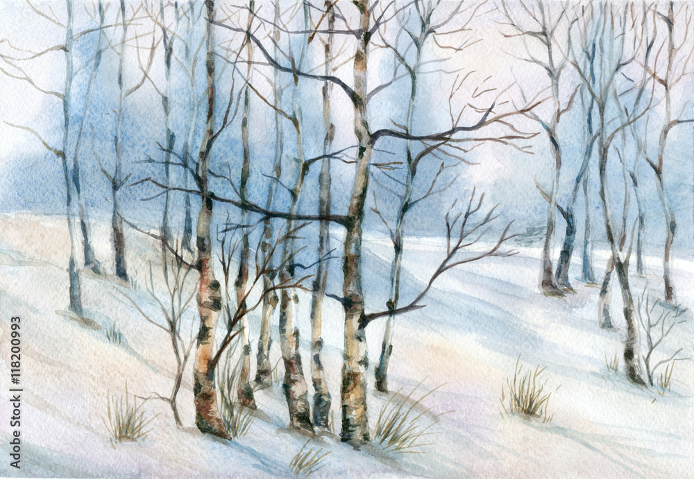 Fototapeta Watercolor landscape with birch trees in the snow