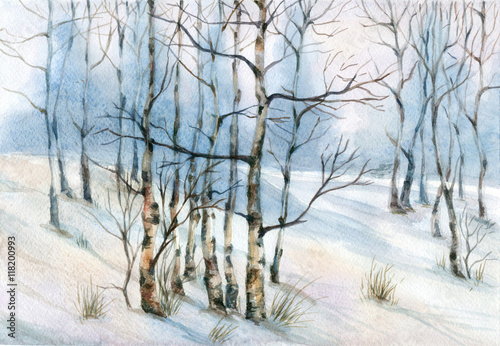 Obraz na płótnie Akwarela krajobraz z brzozy drzewami w śniegu