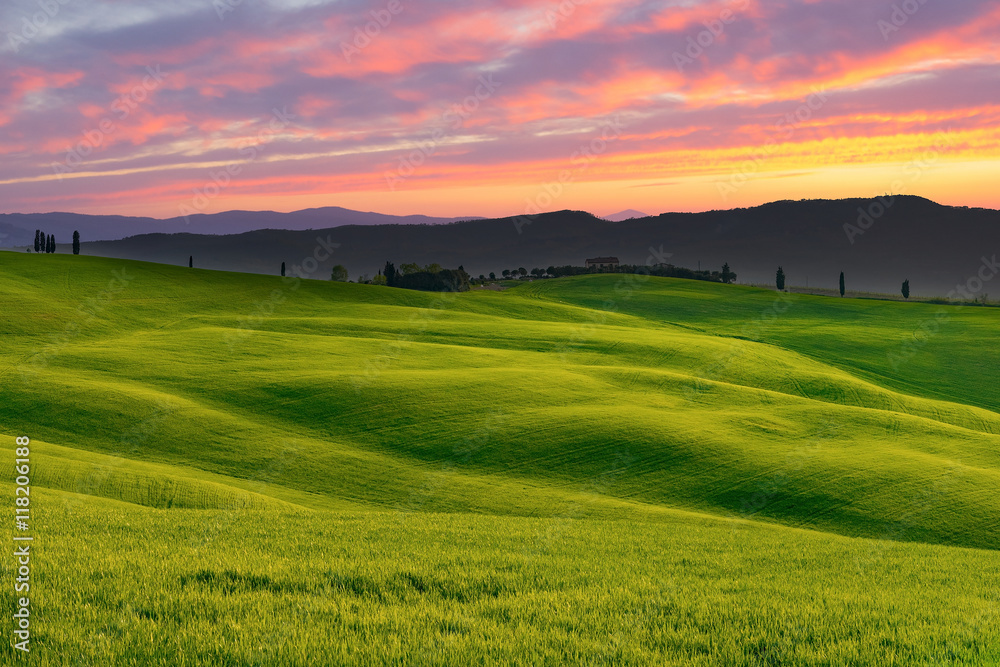 The green field Tuscany Italy