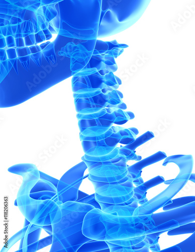 3D illustration of Cervical Spine, medical concept.