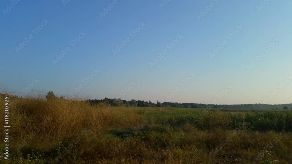 Wild steppe, burnt yellow grass in bright sunlight Wild steppe, burnt yellow grass in bright sunlight