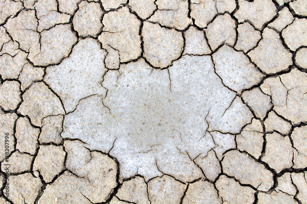 Picture concept and ideas about drought, the shell. Picture concept and ideas about drought, the shell.