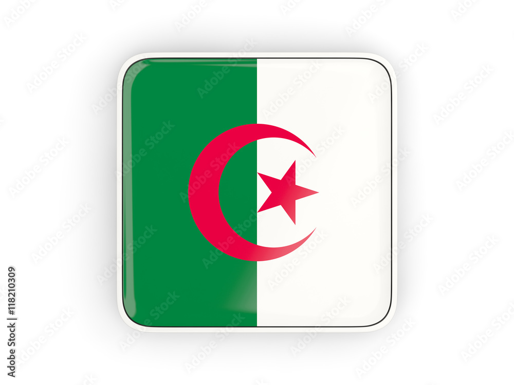Flag of algeria, square icon Flag of algeria, square icon