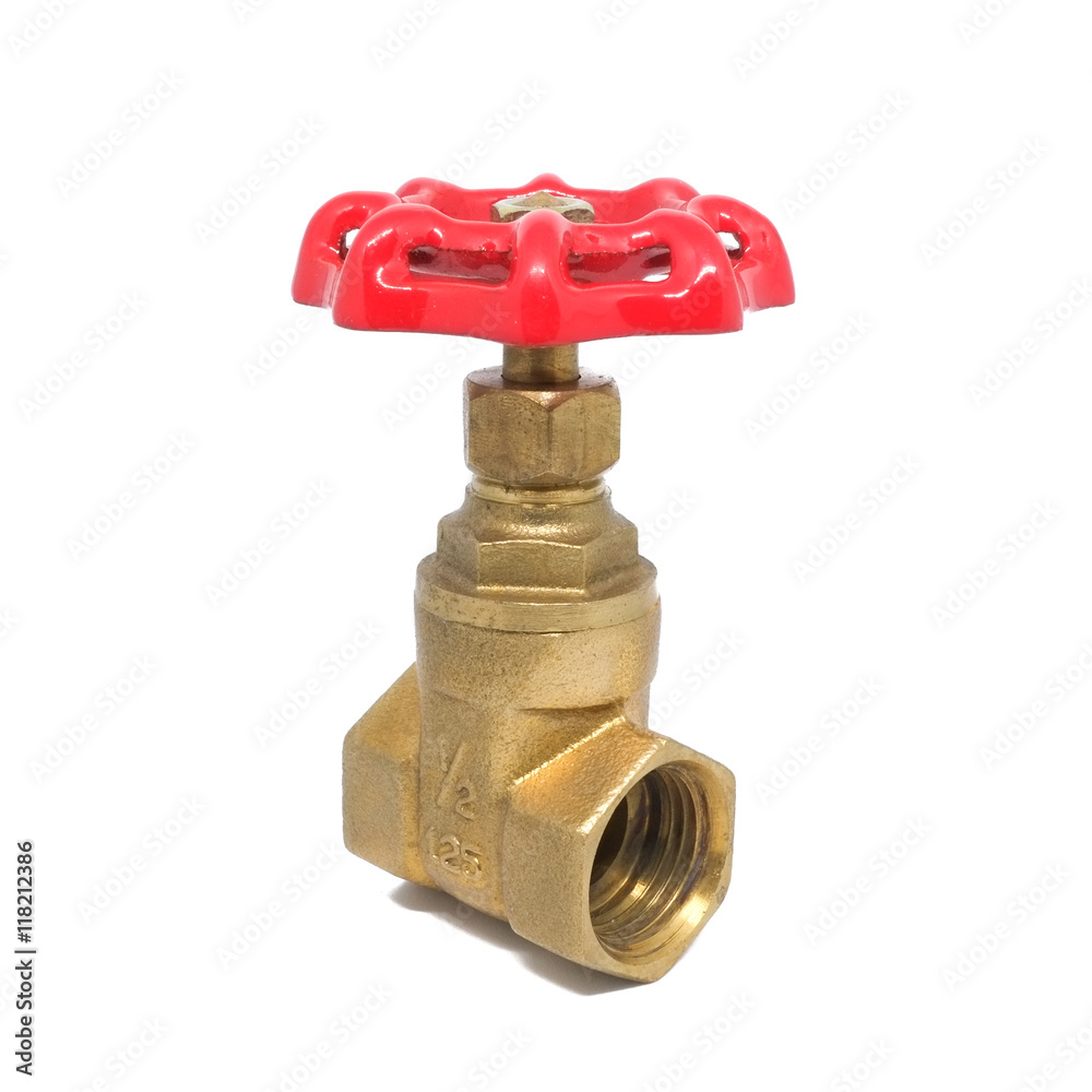 Bronze gate valve Bronze gate valve