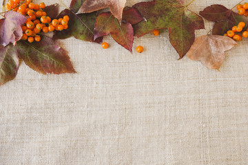 Autumn falll leaves copy space toning thanksgiving background