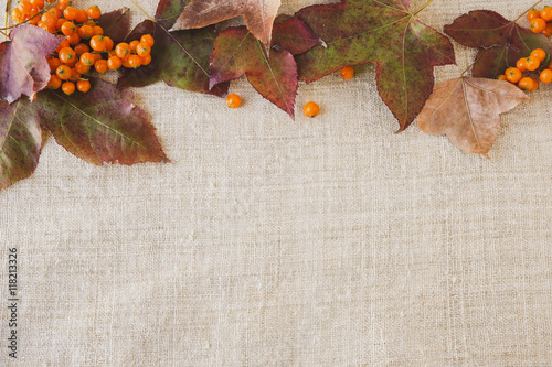 Autumn falll leaves copy space toning thanksgiving background photo