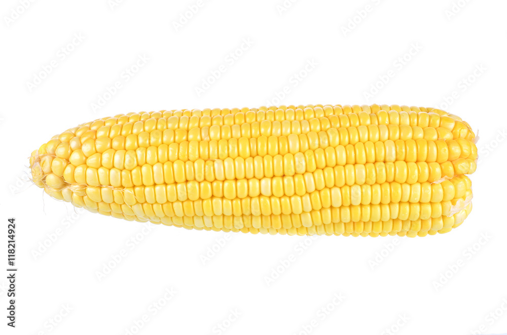 Corn isolated on white Corn isolated on white