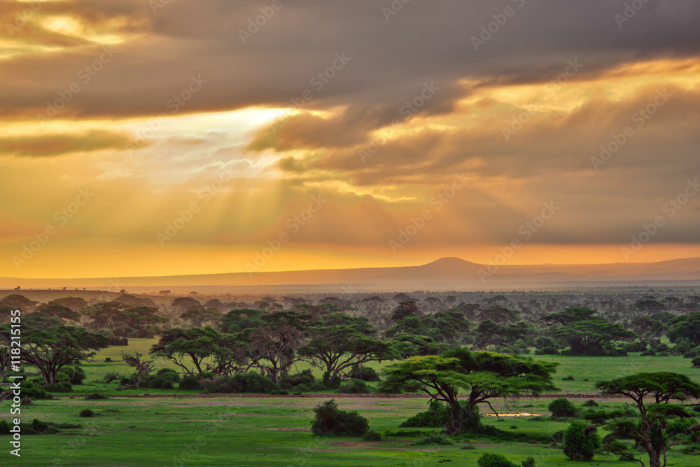 African savannah in Amboseli National Park