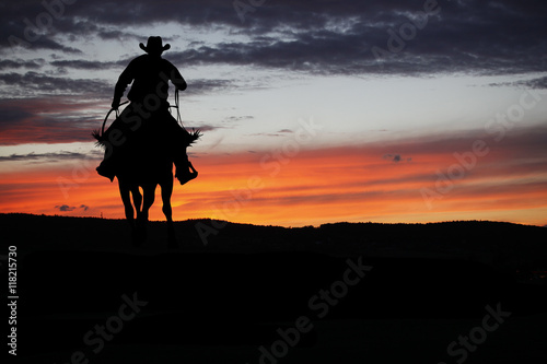 Cowboy on a horse © semisatch