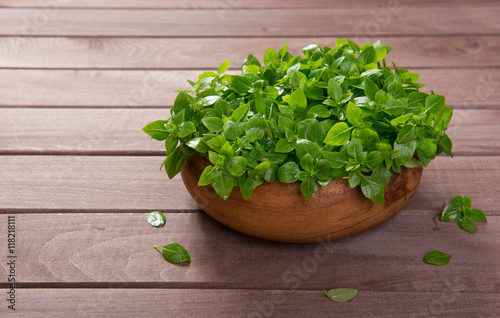 young Green fresh basil