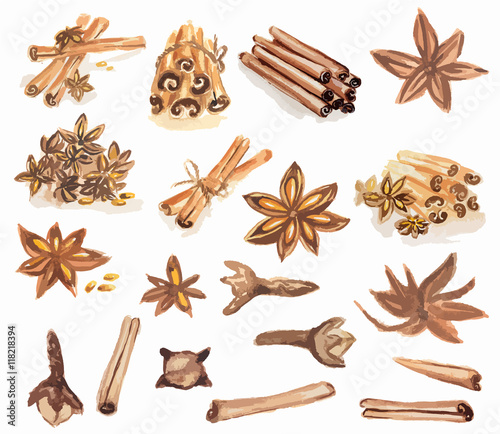 Watercolor spices set. All types of spices as cinnamon, anise, nutmeg, vanilla and more. Brown art.