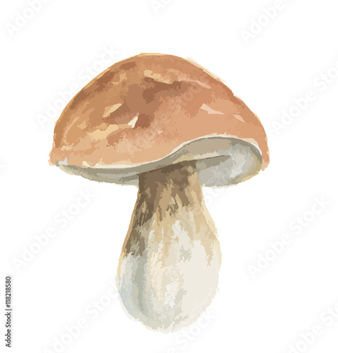 Isolated watercolor porcini. Mushroom on white background. Autumn and fall meal.
