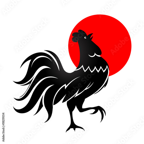 Black cock with morning sun