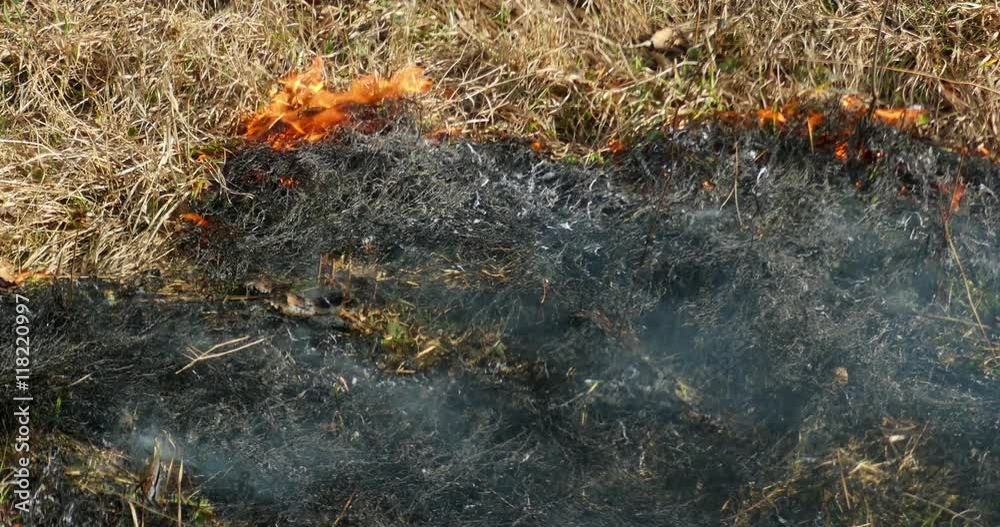 Time Lapse Looking down at dry grass being consumed by fire Time Lapse Looking down at dry grass being consumed by fire