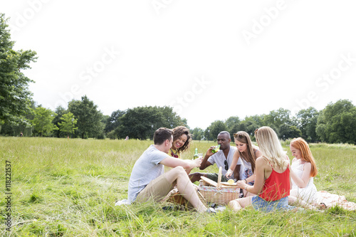 Group Of Friends Sitting On Blanket Enjoying Picnic 