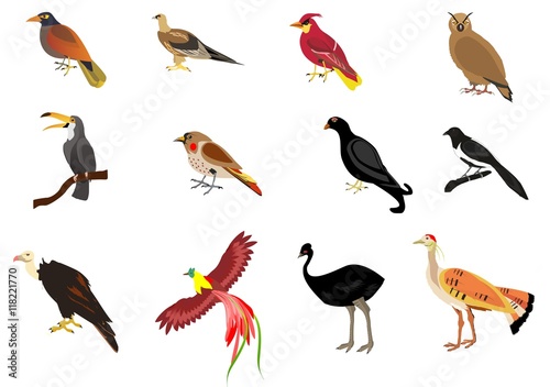 Birds vector set isolated on white