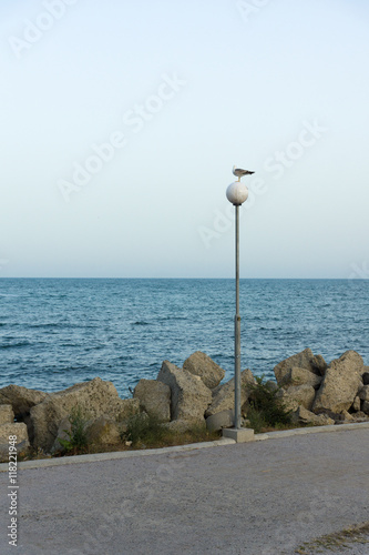 Sea gull lantern