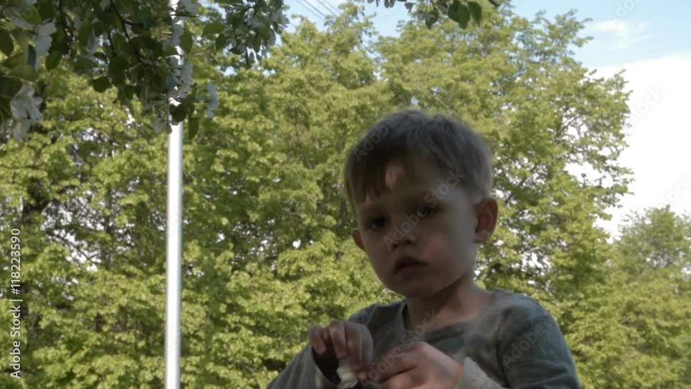 Little boy near blooming tree holding apple tree flower in hands Little boy near blooming tree holding apple tree flower in hands