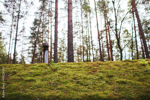 green roof of a wooden house in the woods