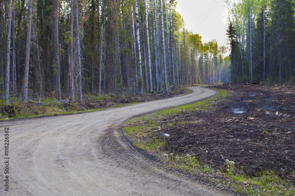 Obraz premium Dirt road