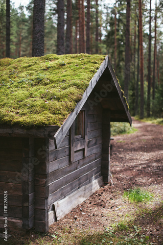 Wooden house with a green roof in the forest