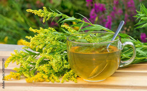 Tea or infusion of Goldenrot or Solidago. photo