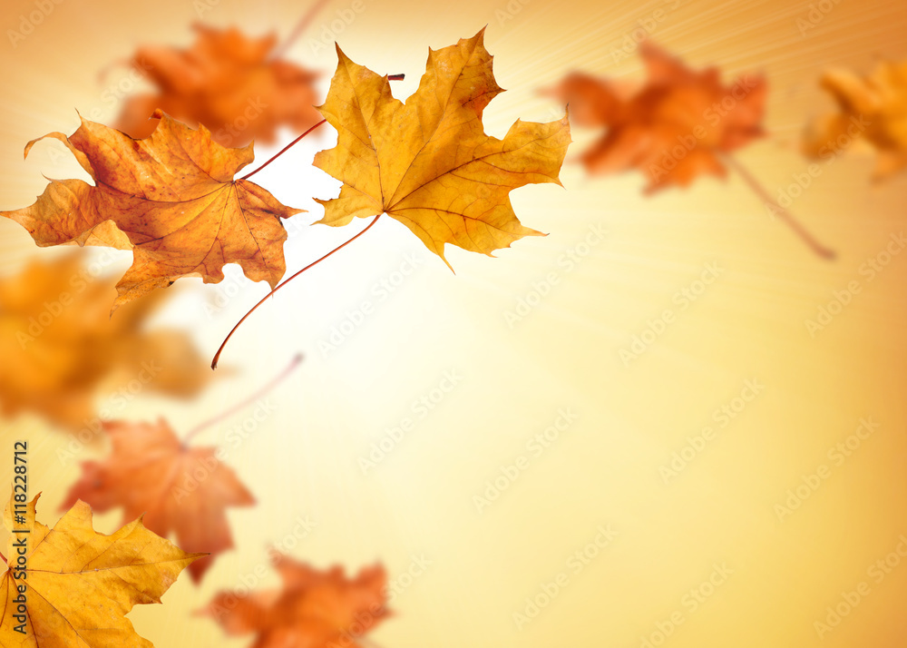 Fall background with orange and red falling autumn leaves Stock Photo ...