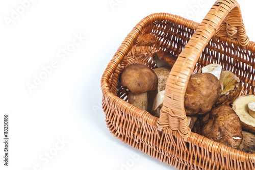 Mushrooms of different sizes in a basket with handle