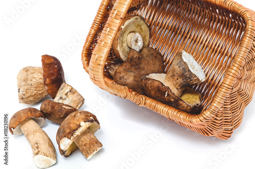 Several mushrooms fallen out of the basket photo