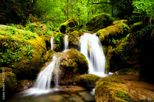 small waterfall in forests