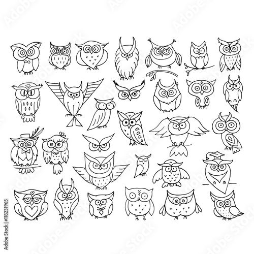 Set of funny owl collection for your design