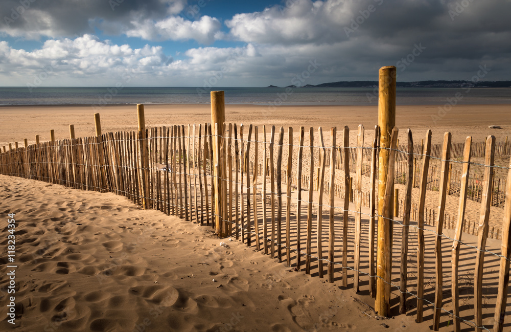 Stabilizing dunes by planting grass on Swansea Bay.