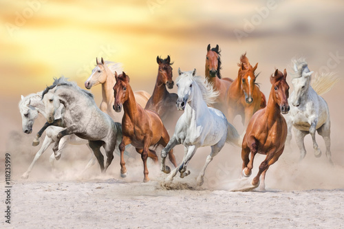 Końskie stado biegnie szybko w pustynnym pyle przeciw dramatycznemu zmierzchu niebu