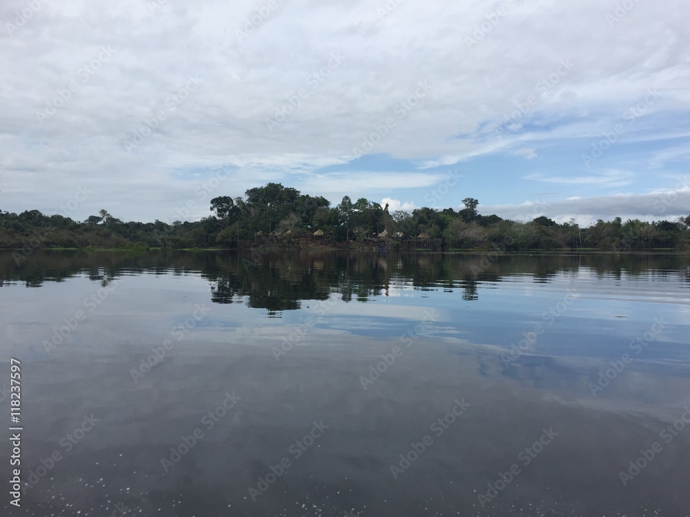 Amazon reflections