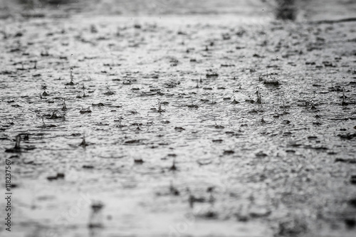 rain drops falling in a puddle of gray