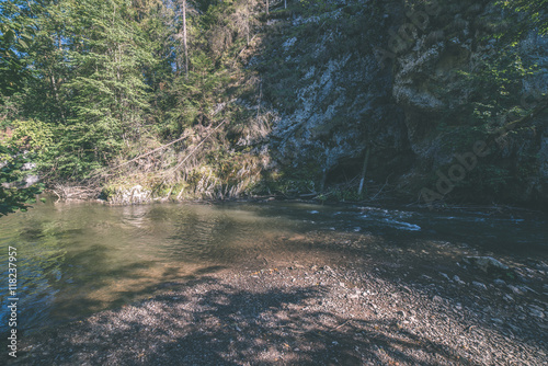 beautiful river in forest - vintage film effect