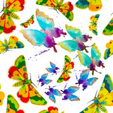 Colorful butterfly on white background. seamless pattern
