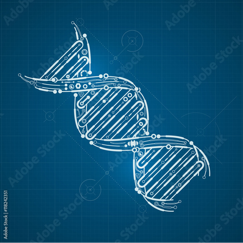 blueprint of DNA, DNA symbol in technological looks