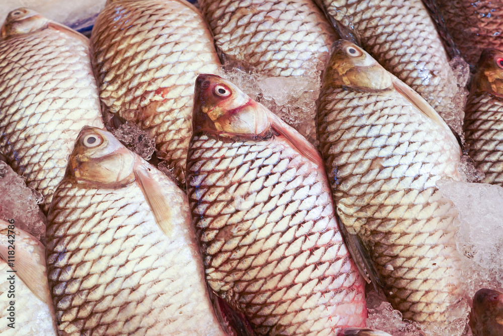 raw carp fish in market