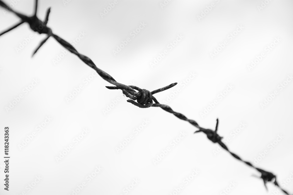 black and white barbed wire blackground