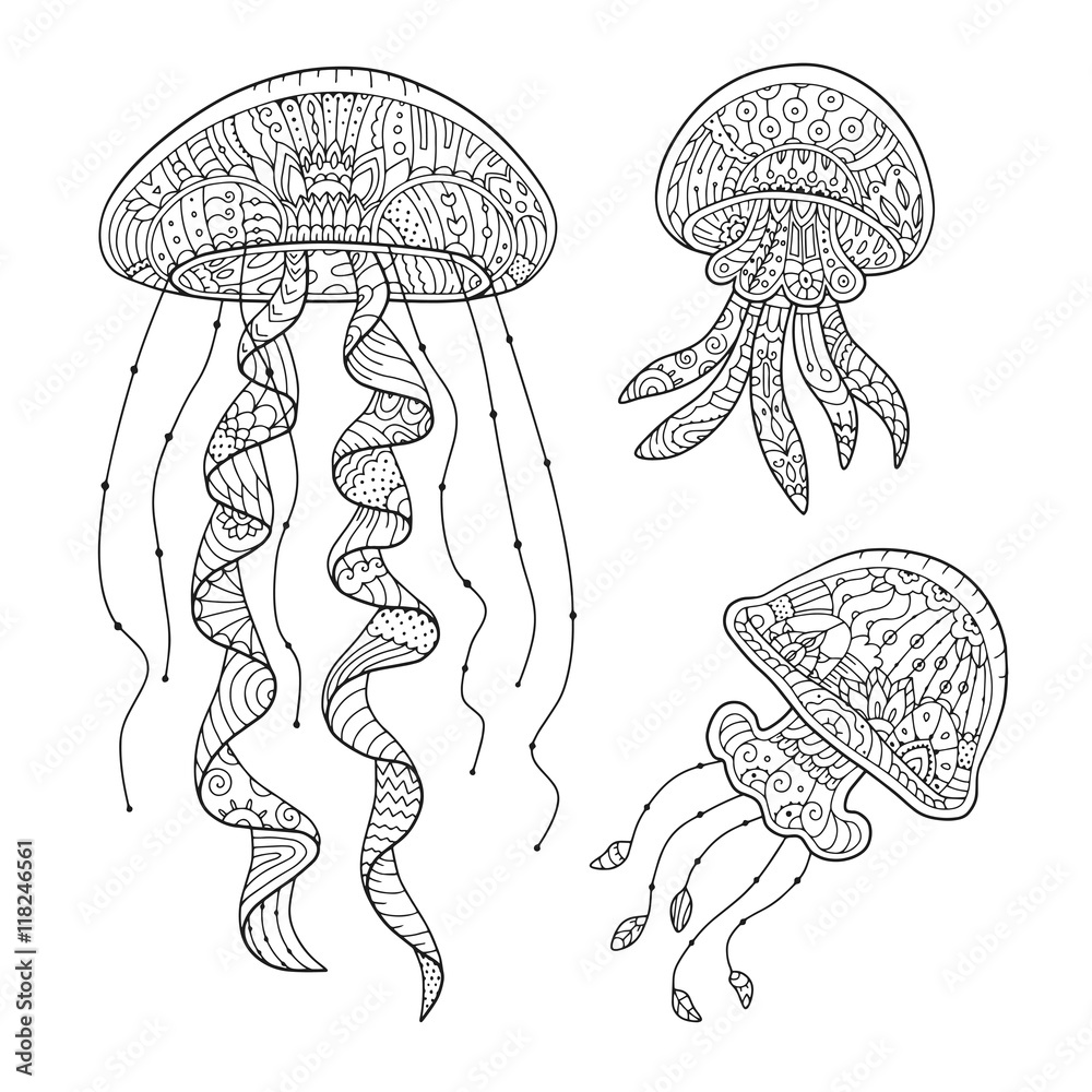 Zentangle stylized jellyfish, isolated on white background. Adult